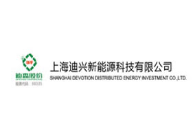 上海迪興新能源科技有限公司