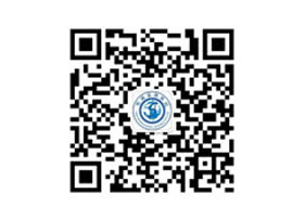 圣鴻出入境