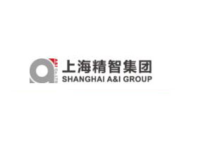 上海精智實(shí)業(yè)股份有限公司